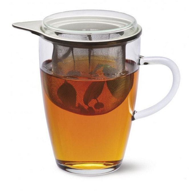 Кухоль заварювальний Simax Tea for one s179 350 мл Киев - изображение 1
