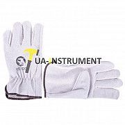 Перчатка замшевая 10"(ящ.120) Intertool SP-0155W Кременчуг