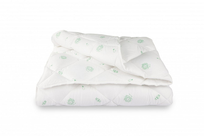 Ковдра полуторна ТЕП Dream Collection Aloe Vera 1-00759-00000 210х150 см Киев - изображение 1