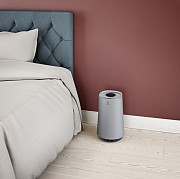 Очисник повітря Electrolux FA31-201GY 20 Вт сірий Киев