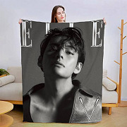Плед 3D Kim Taehyung BTS №2 2941_A 13368 160х200 см Киев