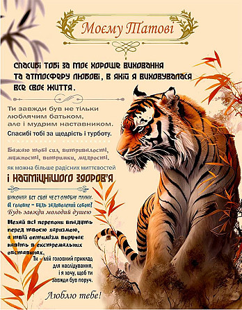 Плед 3D зі своїми побажаннями "Сили і захисту" татові 20222521_B 11909 135х160 см Київ - изображение 1