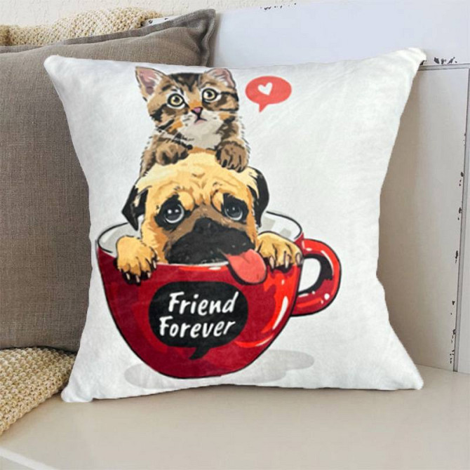 Подушка 3D Friend Forever 20222529_D 11973 35х35 см Киев - изображение 1