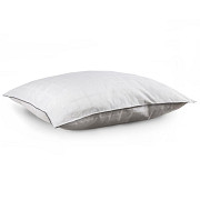 Подушка 50х70 см Ecosoft Arya AR-TR1003319 Київ