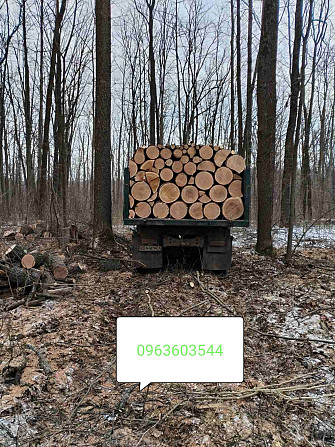 Продам дрова твёрдых пород Харьков - изображение 1