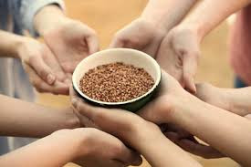Продаємо зерно гречихи від 5 тонн Ивано-Франковск - изображение 1