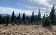 Земельна ділянка з панорамним видом в с. Яблуниця 0.40 га Ивано-Франковск