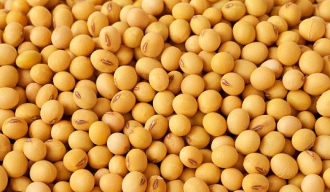 Соя на экспорт (Soybeans seeds for EXPORT) (FCA, FOB, CIF) Одесса - изображение 1