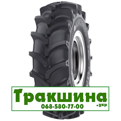 5 R12 Ascenso TDB 121 64/60A6/A8 Сільгосп шина Дніпро - изображение 1