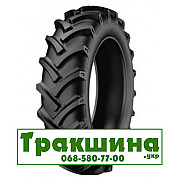 230/95 R36 Kabat SGP-04 123A6 Сільгосп шина Дніпро