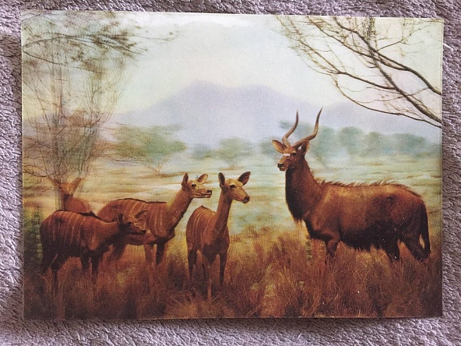 Антилопы открытка объёмная Киев - изображение 1