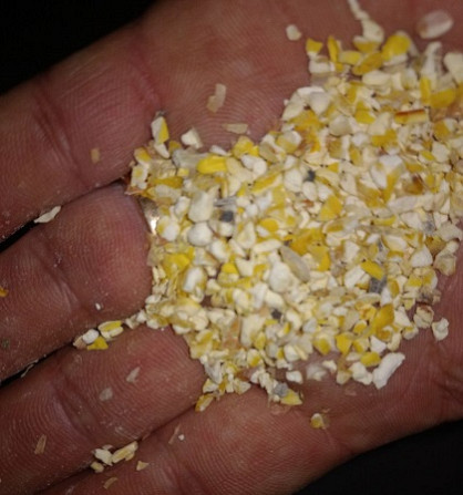 Побічні продукти кукурудзи та зерновідходи на продаж Сумы - изображение 1