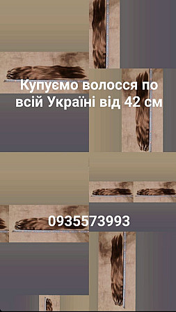 Купимо ваше довге волосся по Україні вигідно від 42 см -0935573993 Киев - изображение 1