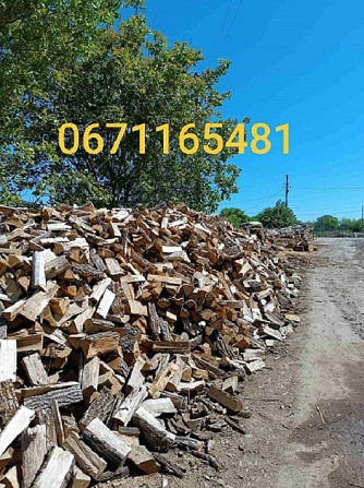 Продам дубовые, березовые и сосновые дрова. Одесса - изображение 1