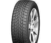 255/55 R20 Doublestar WINTERKING DW09 107H Позашляхова шина Киев