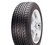 225/55 R17 Yokohama AVS Winter V901 101H Легкова шина Київ