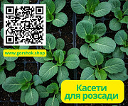 Касети для розсади капусти: оптом та в роздріб Киев