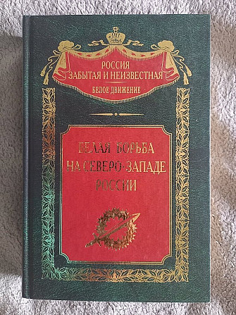 Белая борьба на Северо-Западе России Киев - изображение 1