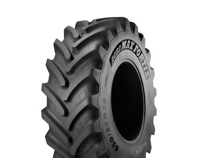 600/70R30 BKT AGRIMAX FORTIS 161/158A8/D Сельхоз шина Київ - изображение 1