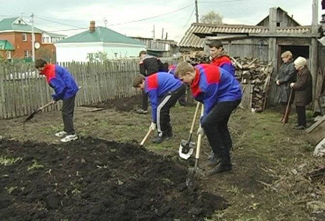 Копка земли вручную в Киеве и Киевской области. Киев - изображение 1