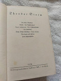 Teodor storm Ein stiller Musikant / Psyche / Im Nachbarhause Тихий музикант / Психея /1936 рік німец Київ