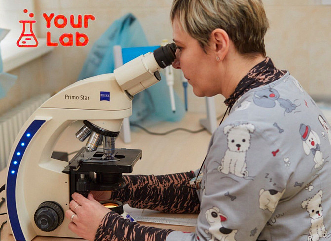 Медична лабораторія Your Lab в центрі міста Харків Харьков - изображение 1