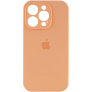 DM Чохол Silicone Case Full Camera для iPhone 16 Pro Cantaloupe (Код товару:39606) Харьков