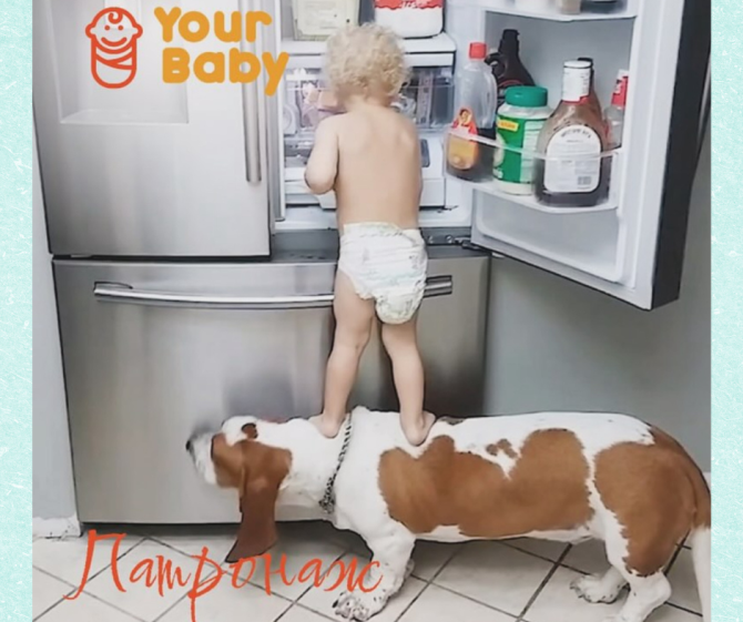 Патронаж новонароджених і дітей раннього віку в Your Family Харьков - изображение 1