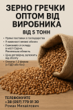 Гречка гуртом від виробника — прямі поставки, від 5 тонн Харьков
