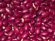 ТОВ Бінс Натур Продукт: сортова квасоля оптом Луцк