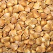 Насіння гречки. Оптовий продаж від виробника Тернополь