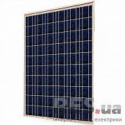Солнечная батарея ABI-SOLAR SR-P660240, 240 WP, Поликристаллическая Киев