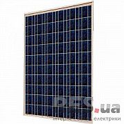 Солнечная батарея ABI-SOLAR SR-P660250, 250 WP, Поликристаллическая Киев