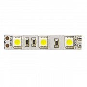 Лента светодиодная smd5050/60 холодный белый (12В) Feron LS606 Киев
