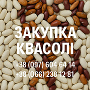 Закупівля квасолі оптовими партіями Винница