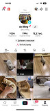 Южнокорейский TikTok-аккаунт, подходит для монетизации Київ