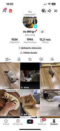 Южнокорейский TikTok-аккаунт, подходит для монетизации Київ - изображение 1