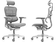 Качественное кресло Ergohuman Luxury 2 EHL2-AB-HAM-5D-L Grey Киев