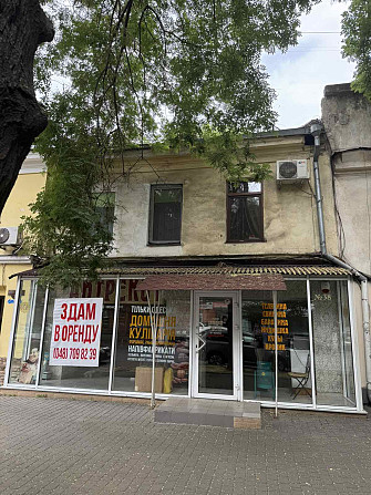 Идеальное место -фасад на М. Арнаутской. Одесса - изображение 1