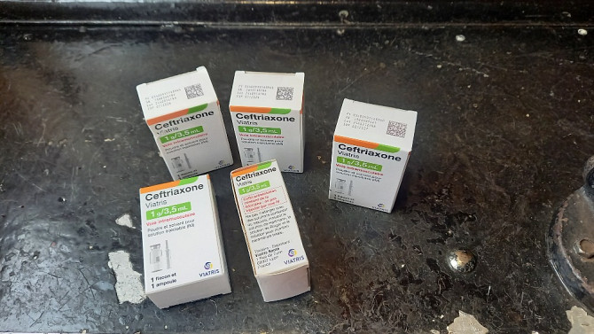 Антибиотик-Ceftriaxone viatris (ЦЕФТРИАКСОН ВИАТРИС) 1г/3,5 мл Запорожье - изображение 1