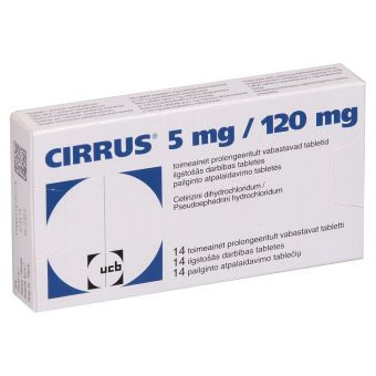 Cirrus Дніпро - изображение 1