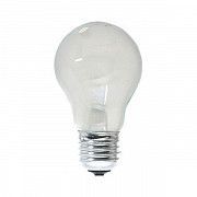 Лампа накаливания А55 100Вт Е27 матовая Philips Киев