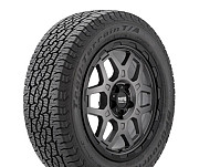 225/65 R17 BFGoodrich Trail-Terrain T/A 102H Позашляхова шина Киев