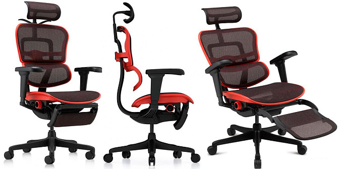 Удобное компьютерное кресло Ergohuman Ultra X9 Gaming Legrest Equator Киев - изображение 1