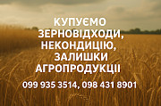 Купуємо некондиційне зерно та побічні продукти Днепр