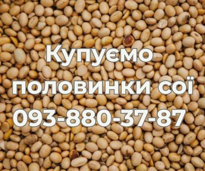 Постійно купуємо половинки сої. Вигідні умови співпраці Ужгород - изображение 1