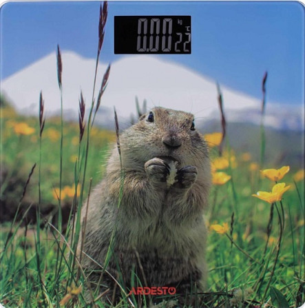 Весы напольные электронные Ardesto MATTERHORN SCB-965MATTERHORN 150 кг Киев - изображение 1