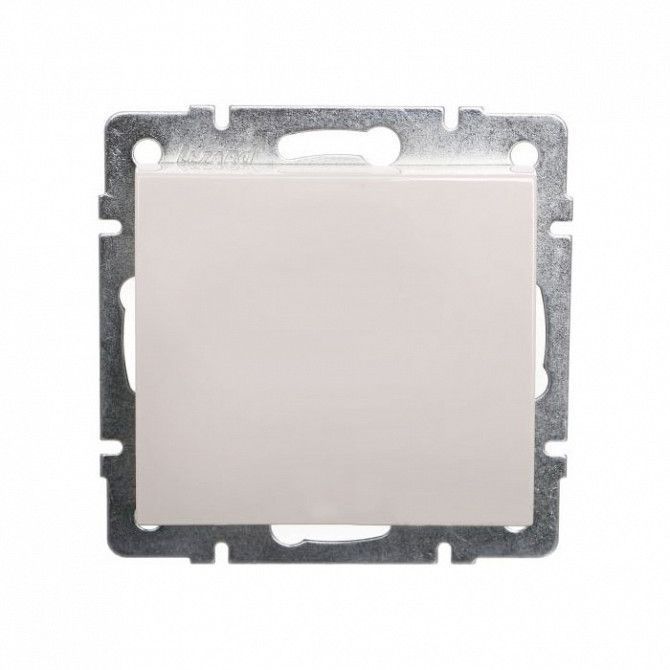1-клавишный выключатель Lezard Rain 10A Крем (703-0388-100) Київ - изображение 1