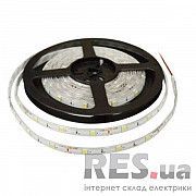 Лента светодиодная LM582 smd2835 60LED 12V IP65 (холодный белый) Lemanso Киев