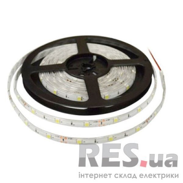 Лента светодиодная LM582 smd2835 60LED 12V IP65 (холодный белый) Lemanso Киев - изображение 1